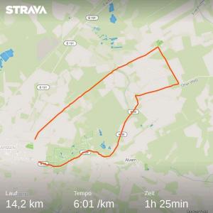 strava1890667636134922058.jpg