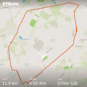 strava7330749651431810177.jpg